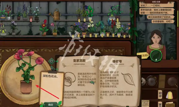 奇异园艺,第6天攻略