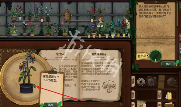 奇异园艺,第6天攻略