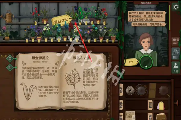 奇异园艺,第6天攻略