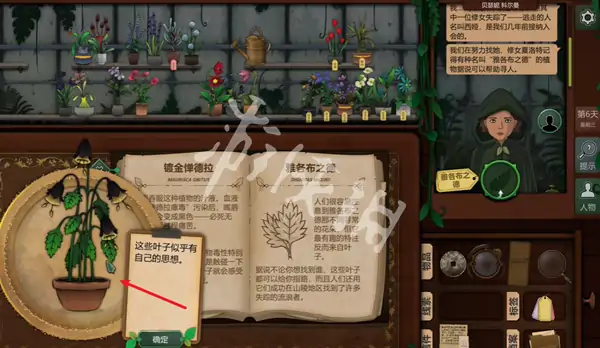 奇异园艺,第6天攻略