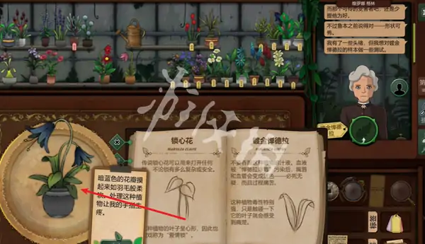 奇异园艺,第6天攻略