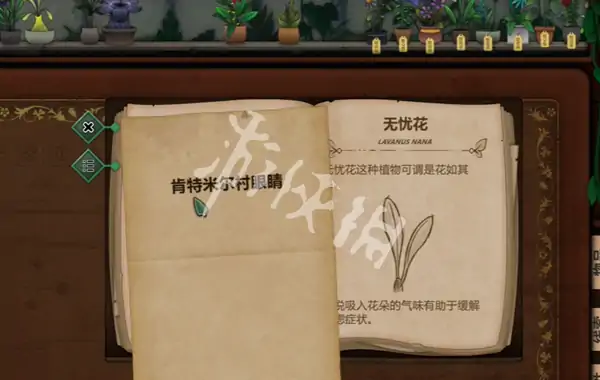 奇异园艺,第7天攻略