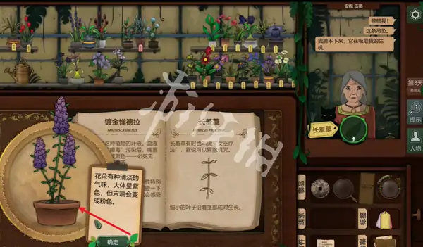 奇异园艺,第8天攻略