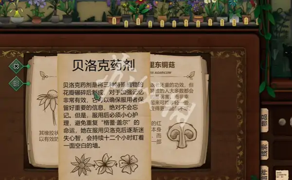 奇异园艺,第8天攻略