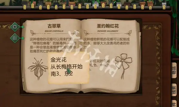 奇异园艺,第8天攻略