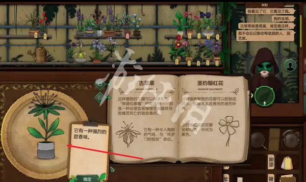 奇异园艺,第8天攻略