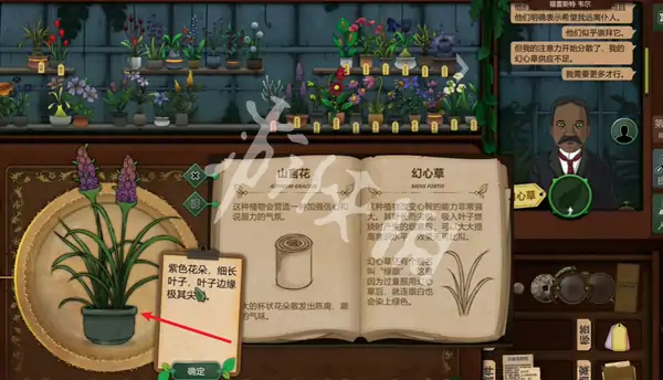 奇异园艺,第9天攻略