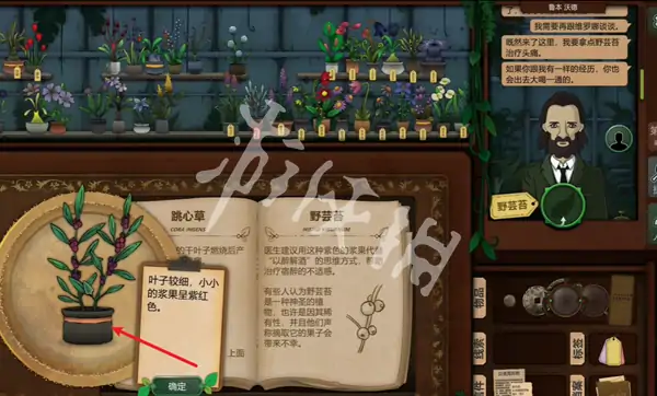 奇异园艺,第9天攻略