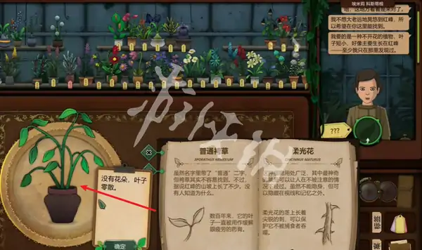 奇异园艺,第9天攻略