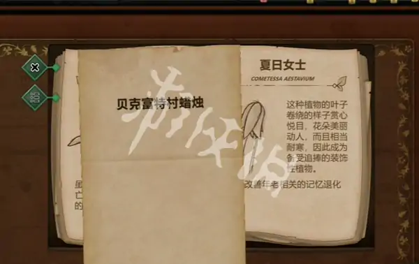 奇异园艺,第9天攻略