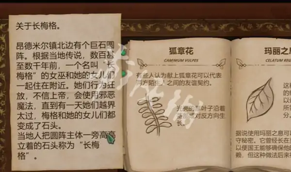 奇异园艺,第10天攻略