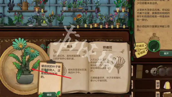 奇异园艺,第10天攻略