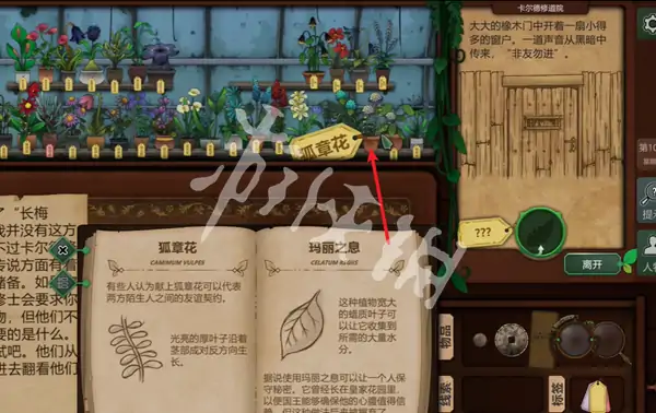 奇异园艺,第10天攻略