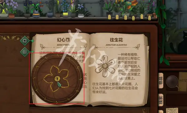 奇异园艺,第12天攻略