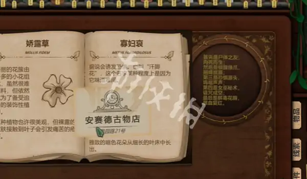 奇异园艺,第12天攻略