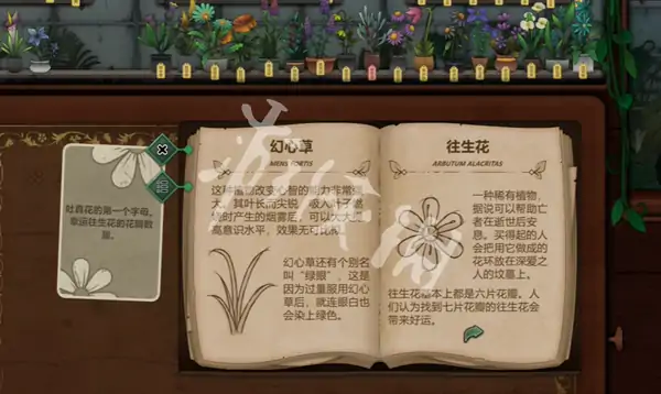 奇异园艺,第12天攻略