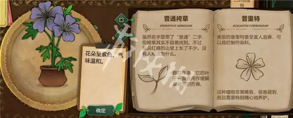 奇异园艺,药剂配方大全