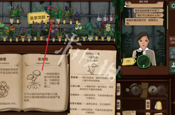 奇异园艺,第14天攻略
