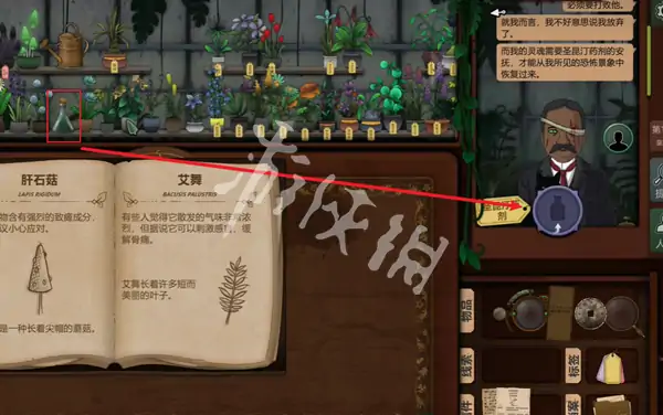 奇异园艺,第14天攻略