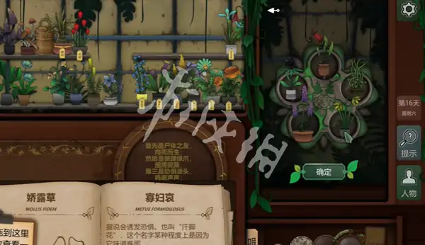 奇异园艺,第16天攻略