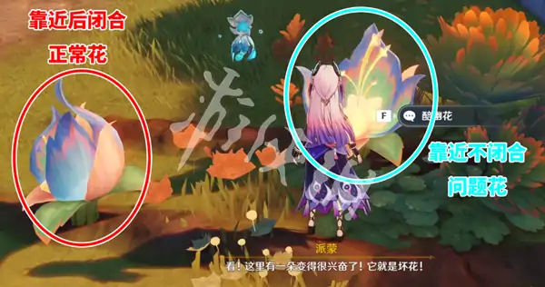 原神,梦中的帕伊提提成就达成攻略,原神
