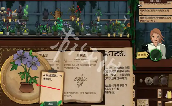 奇异园艺,第13天攻略