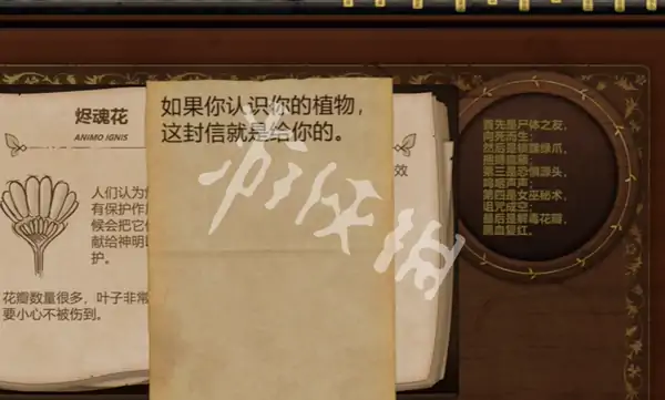 奇异园艺,第13天攻略