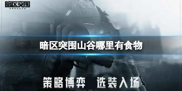 暗区突围,山谷,食物,暗区突围