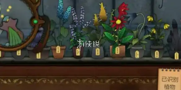奇异园艺,往生花获取方法