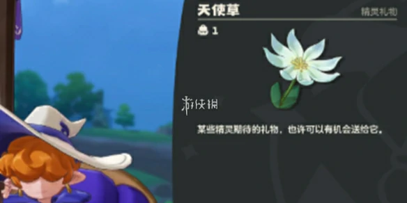 洛克王国世界,天使草采集点位一览