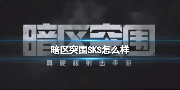 暗区突围,SKS,暗区突围
