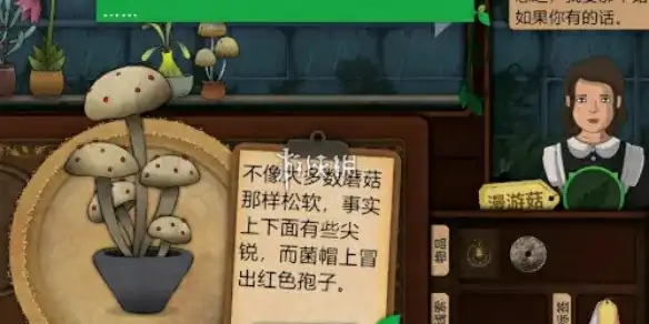 奇异园艺,第16天攻略