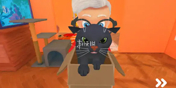 我是猫,去街道方法