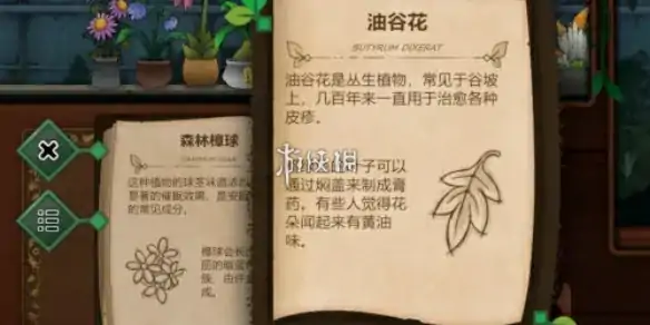 奇异园艺,寡妇哀获取方法