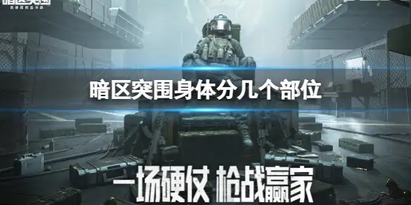 暗区突围,身体分几个部位,身体各部位作用介绍,暗区突围
