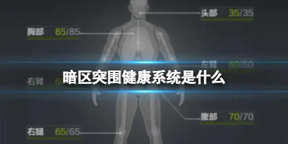 暗区突围,健康系统是什么,身体各部位作用介绍,暗区突围