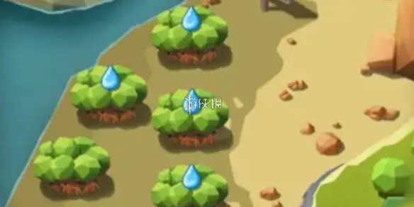 碳碳岛,浇水方法