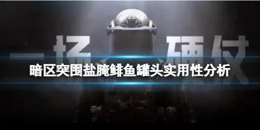 暗区突围,盐腌鲱鱼罐头,食品,暗区突围