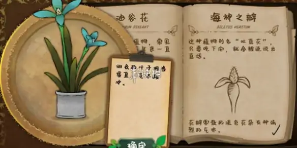 奇异园艺,第10天攻略