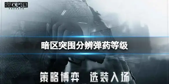 暗区突围,弹药,等级,暗区突围