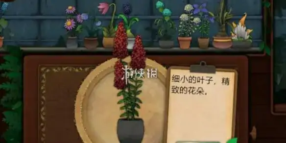奇异园艺,第15天攻略