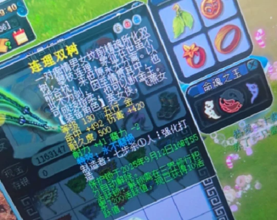 梦幻西游,摇钱树苗,鉴定逆袭,梦幻西游