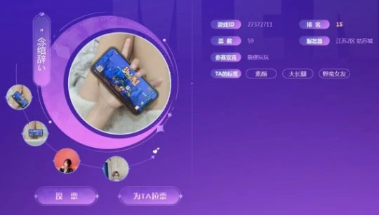 梦幻西游,拉票,美女玩家,美眉,梦幻西游