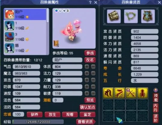 梦幻西游,109PT,神威普陀,梦幻西游