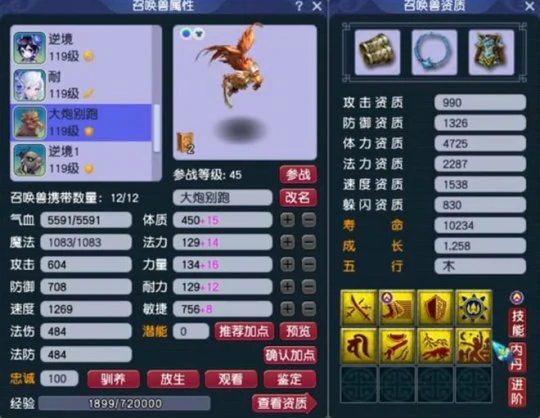 梦幻西游,109PT,神威普陀,梦幻西游