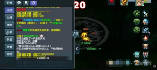 梦幻西游,变异,梦幻西游
