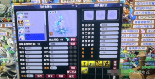 梦幻西游,司雪,五开颜值,彩果染色,梦幻西游