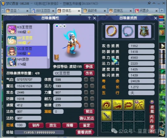 梦幻西游,399元狂豹,点化石,帮贡,梦幻西游