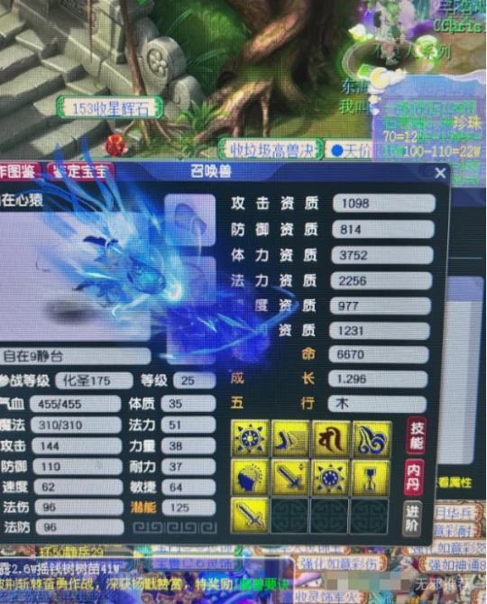 梦幻西游,广目,钱多必死,净台心猿,梦幻西游
