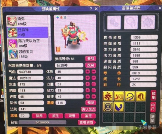 梦幻西游,净台,海毛虫,竞速,梦幻西游